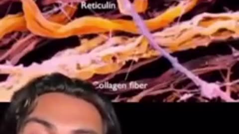 We are electromagnetic frequency beings!