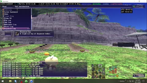 Playing Final Fantasy XI Online