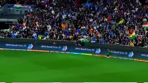 Cricket