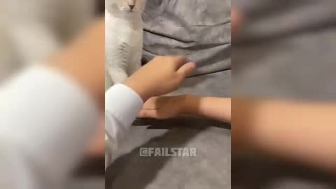 2025 Year in Review 😄 Best Funny Videos of the Year 2