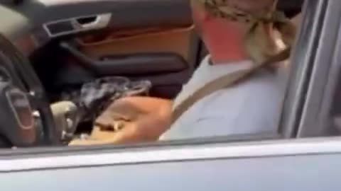 A pro-Israel man erupted into a violent rage as he drove through a Palestine solidarity protest