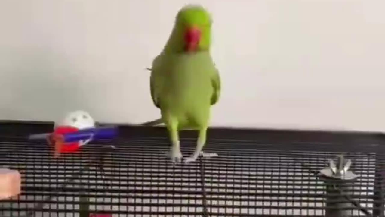 Loving this 😂❤️