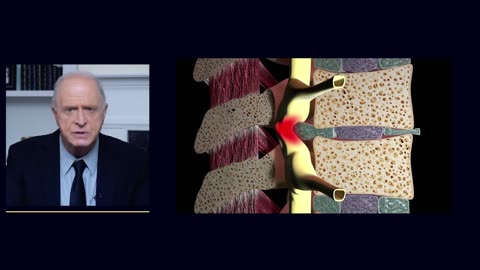 Vertebrorevitology And Regeneration