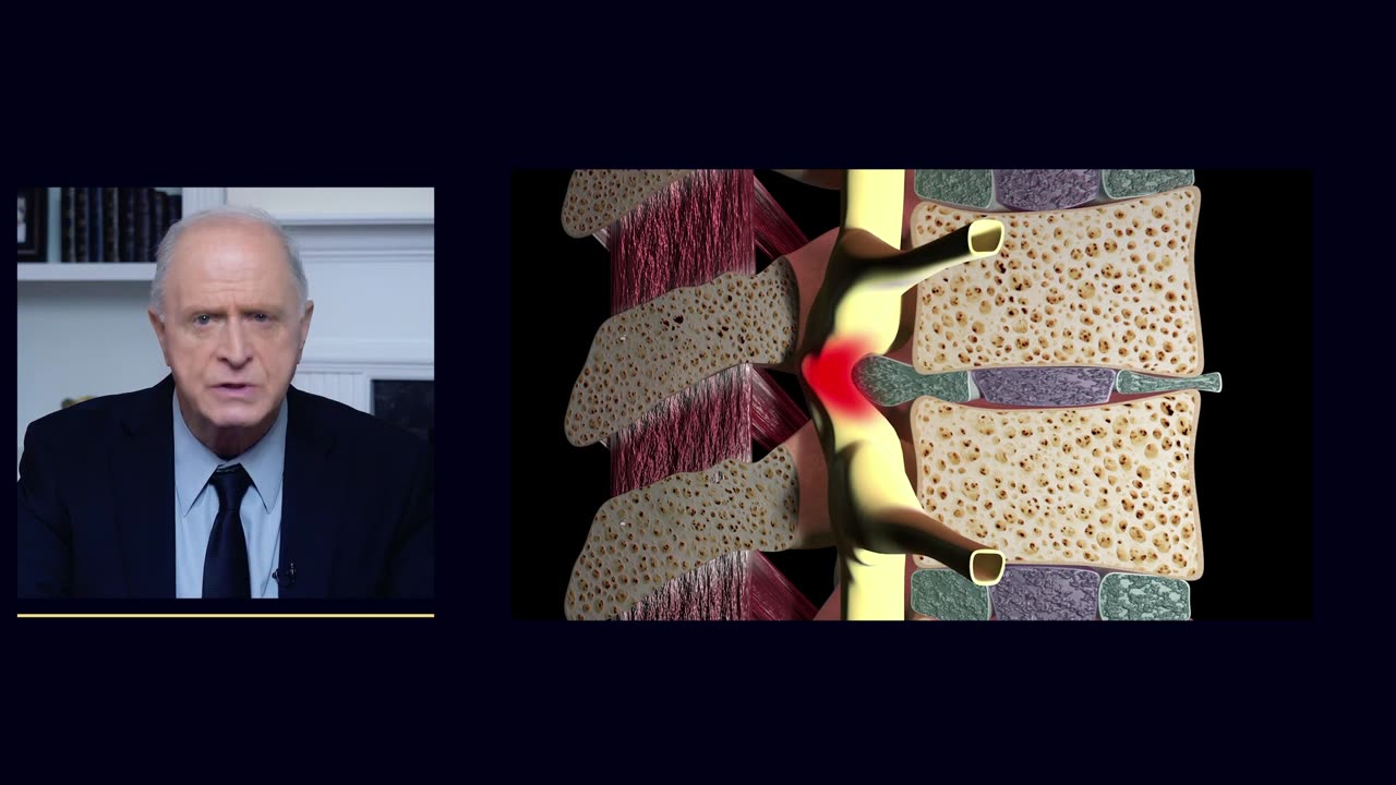 Vertebrorevitology And Regeneration