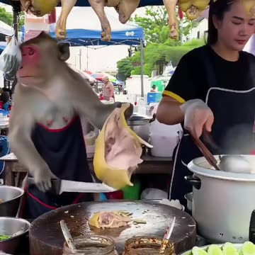 Real cuttlefish! WOW