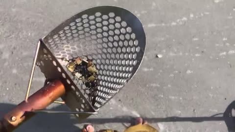 Metal Detectorist Stumbles Upon Massive Versace Bracelet on Beach