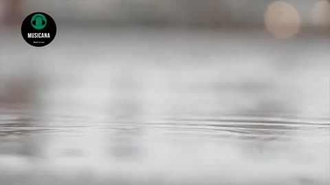 Drama Sad Flute Music