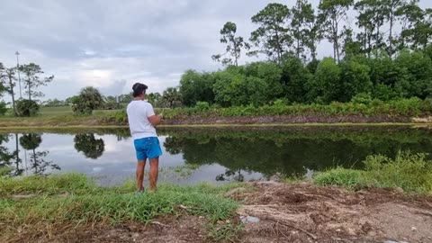 chi la fa l aspetti with live bait tarpon and snook fishing in Florida_part2