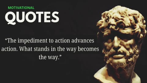 "The impediment to action advances action. What stands in the way becomes the way." Marcus Aurelius