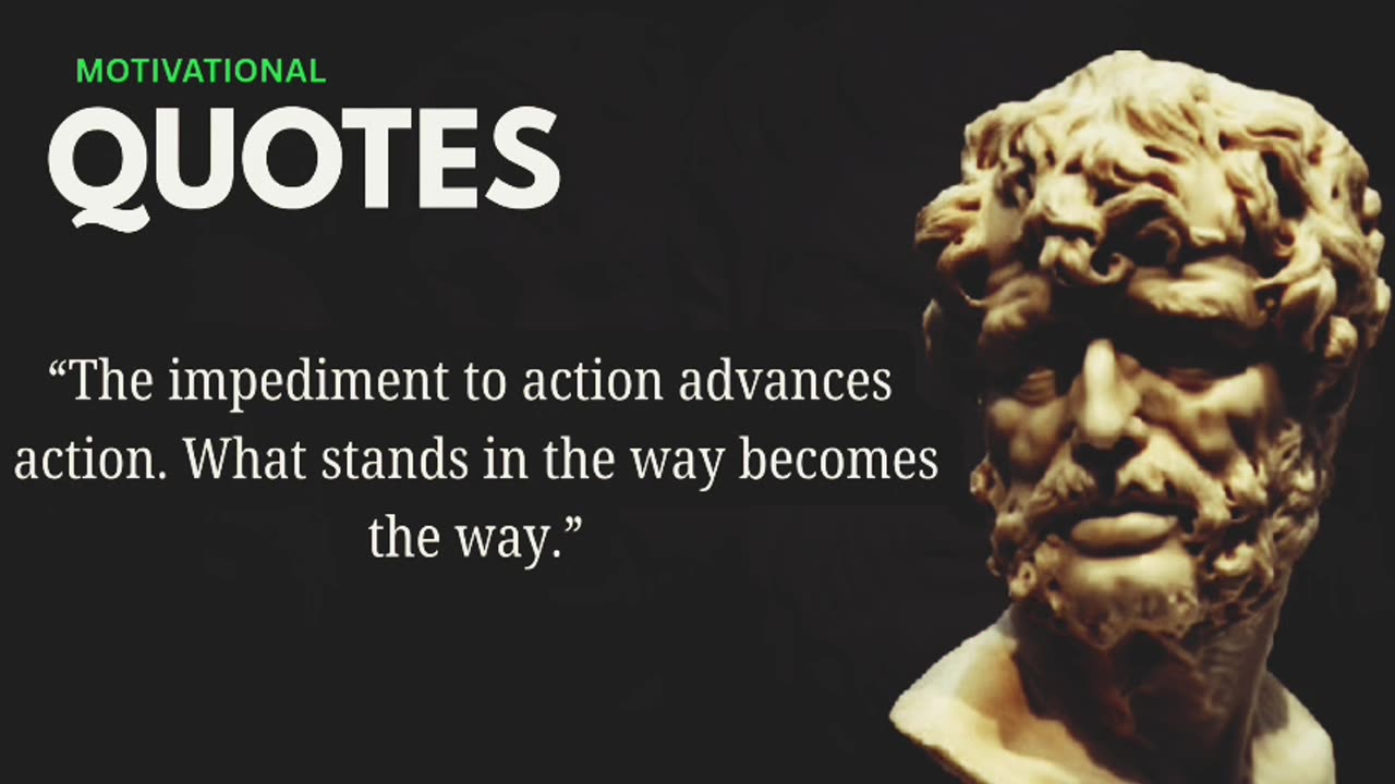 "The impediment to action advances action. What stands in the way becomes the way." Marcus Aurelius