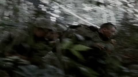 Vietnam heavy combat footage Creedence Clearwater Revival - Run Through The Jungle