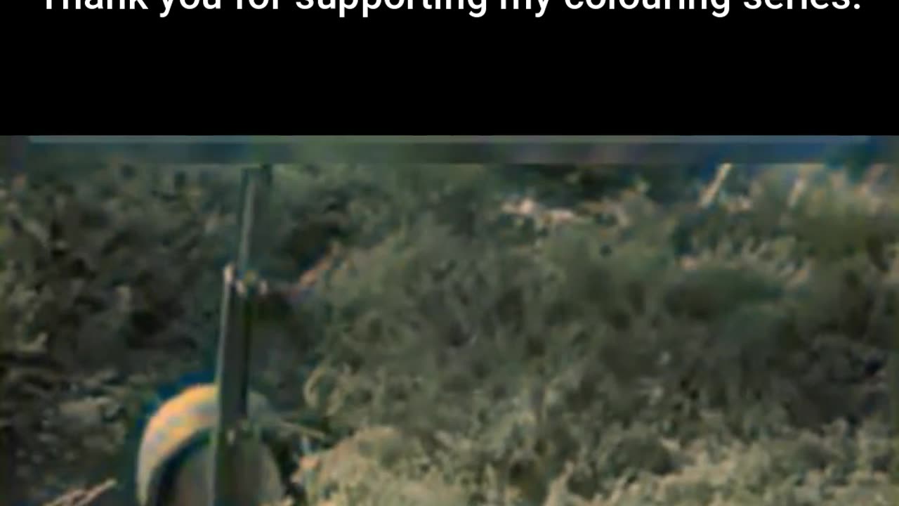 Forging Warriors US Army in Training #ColourisedHistory