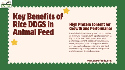 Benefits of Rice DDGS in Animal Feed