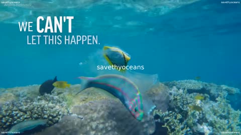 Plastic Pollution Is Killing Wildlife Oceana Canada