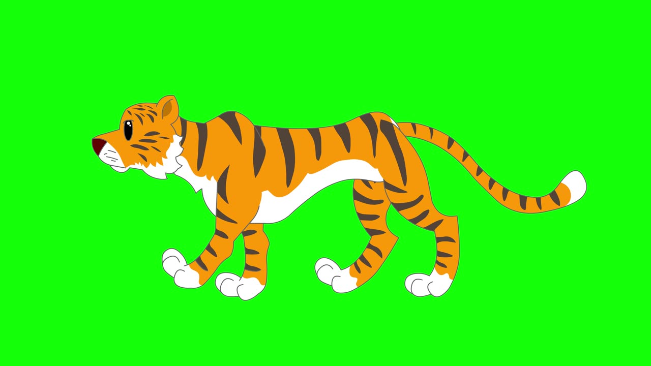 Cartoon Green Screen - Animals - Wild Tiger 2D Animation