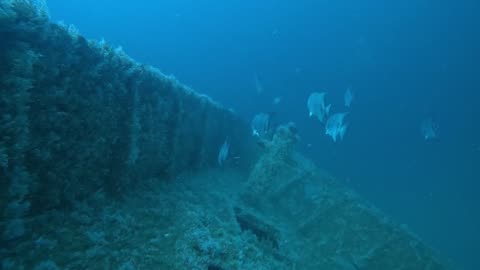 11.19.25 Jax Kingfish Reef