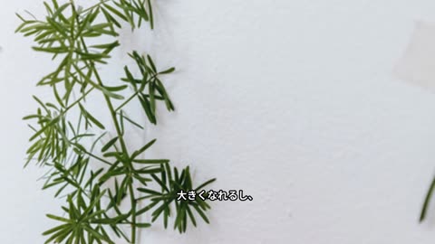 植物の進化が地球を変えた瞬間！