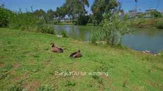 Tel Aviv Like You've Never Seen It! Nature, Peace and Calm by the Yarkon River.
