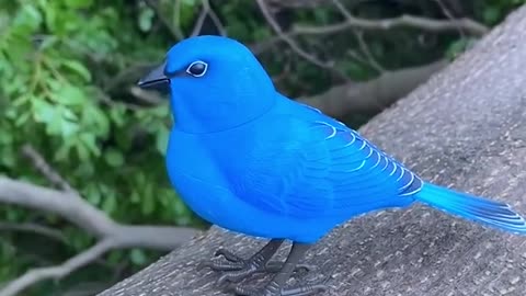Kibtoy Blue Bird toy simulation electric singing bird can call and move