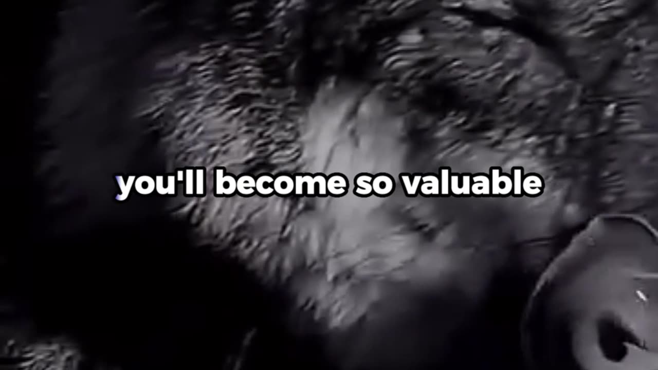 Become the Alpha