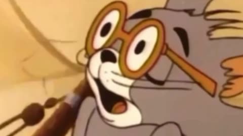 funny funny videos funny jokes funny animals funny memes funny movies funny bone funny pictures