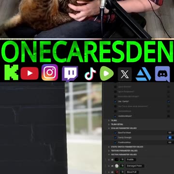 Rebel Cat Shuts Down Gaming Stream!