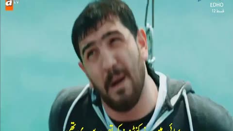 ed1