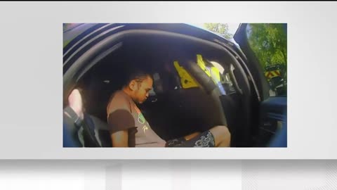 Police arrest black passenger who allegedly groped woman in Lyft