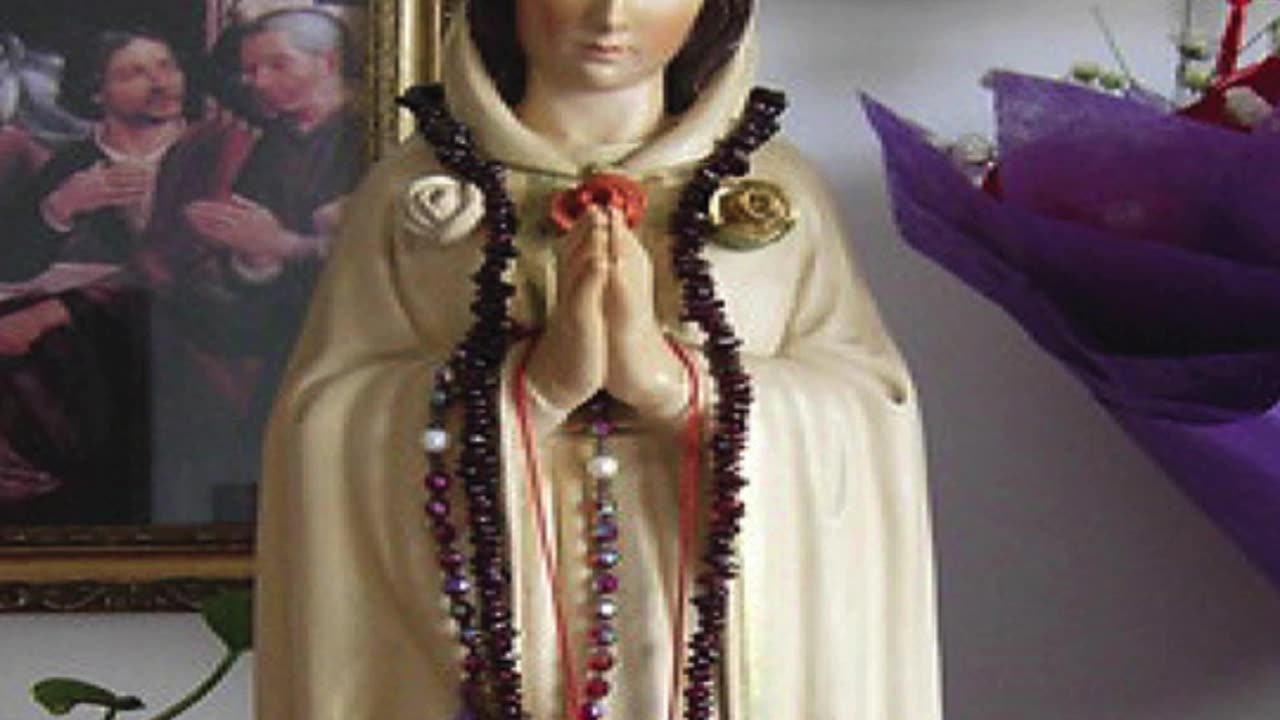 ROSA MYSTICA 13th July