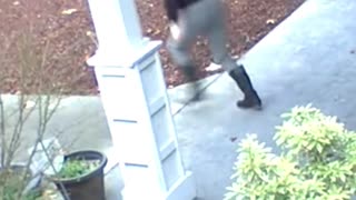 Did You Really Need to Steal That?