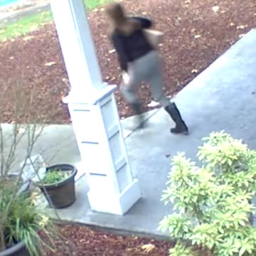 Did You Really Need to Steal That?