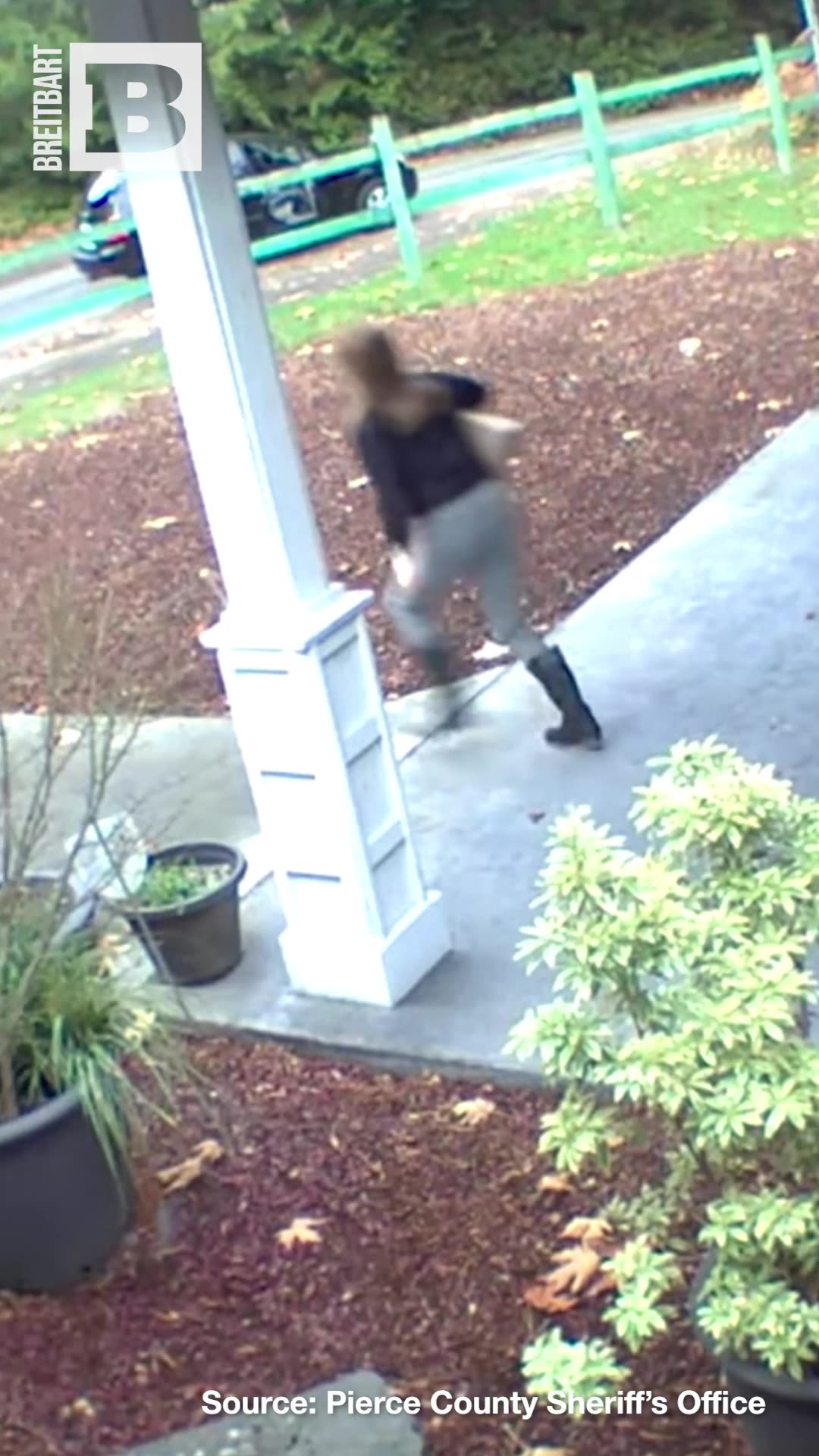 Did You Really Need to Steal That?