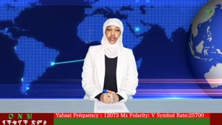 ሐምሌ 17-2025 ONM-ABO እለታዊ የኦሮሞ ነፃነት ሰራዊትና የኦሮሚያ ውሎ!