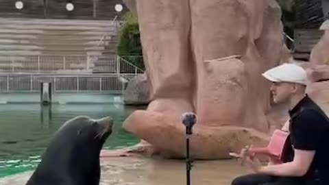 SEA LION TUESDAY 9/23/25