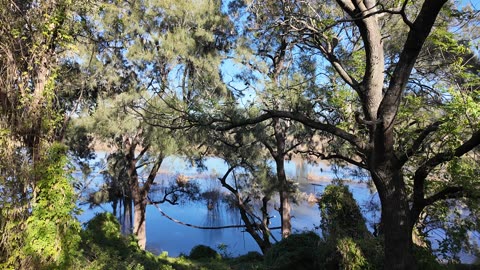Sydney Penrith Nepean North River Walk 2