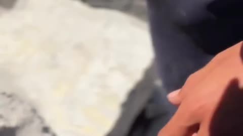 Remains of a child martyred in a bombing