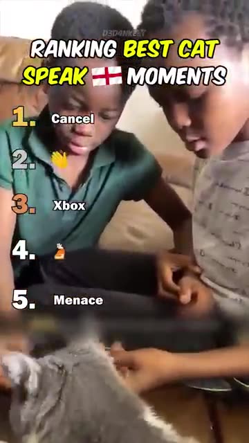 Ranking best cat speaking