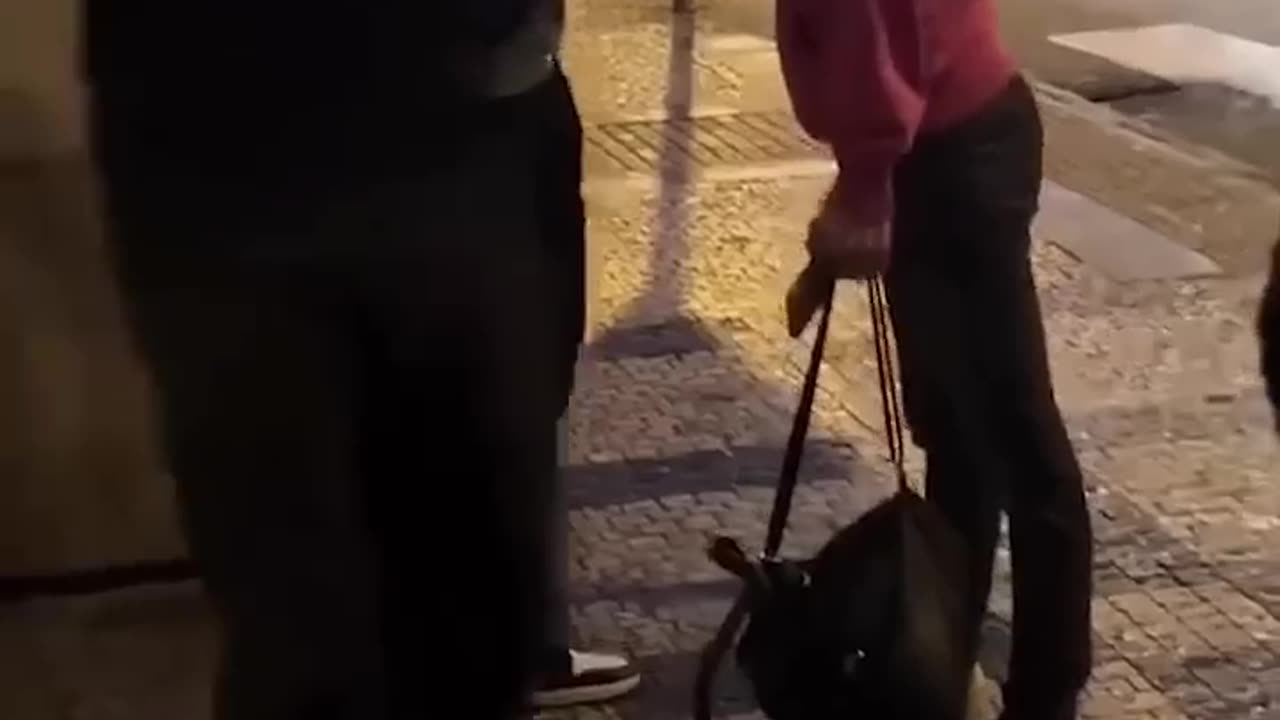 Dose of instant karma