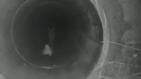 Found a new place to hide
