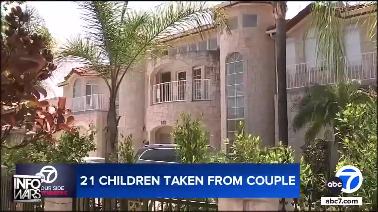 Police bust massive "Baby factory" operation while investigating child abuse.