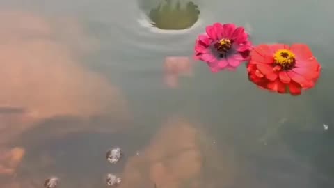Nature Is Infinite