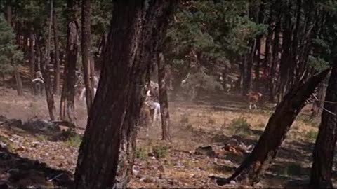 Doktor Zhivago 1965 d2e2