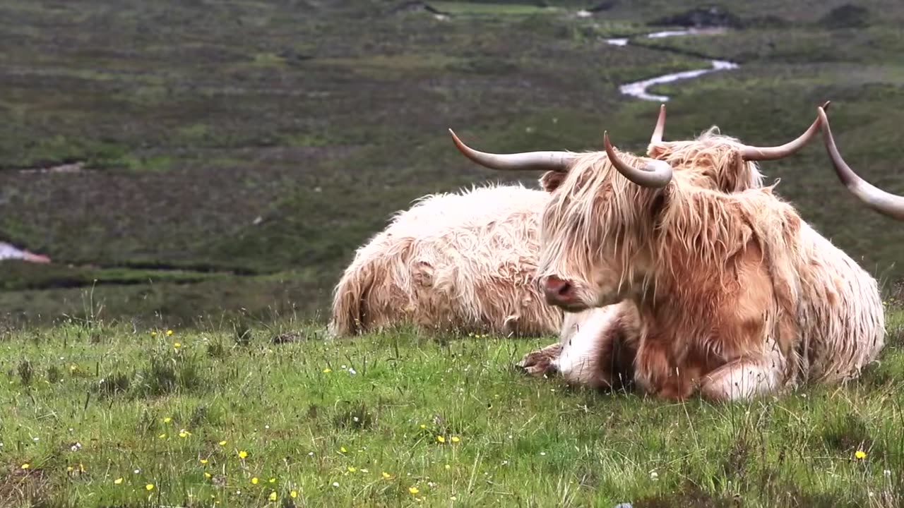 BEAUTIFUL SCOTLAND