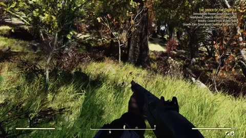 First time seeing the mothman (Fallout 76)