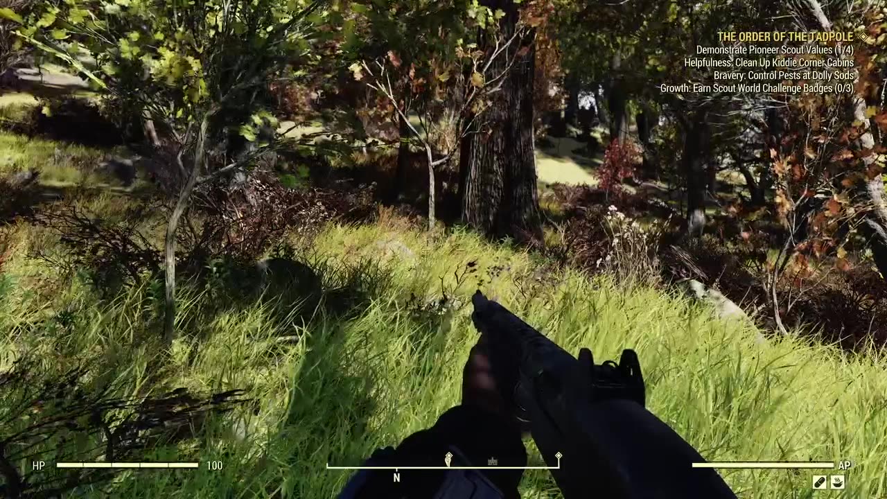 First time seeing the mothman (Fallout 76)