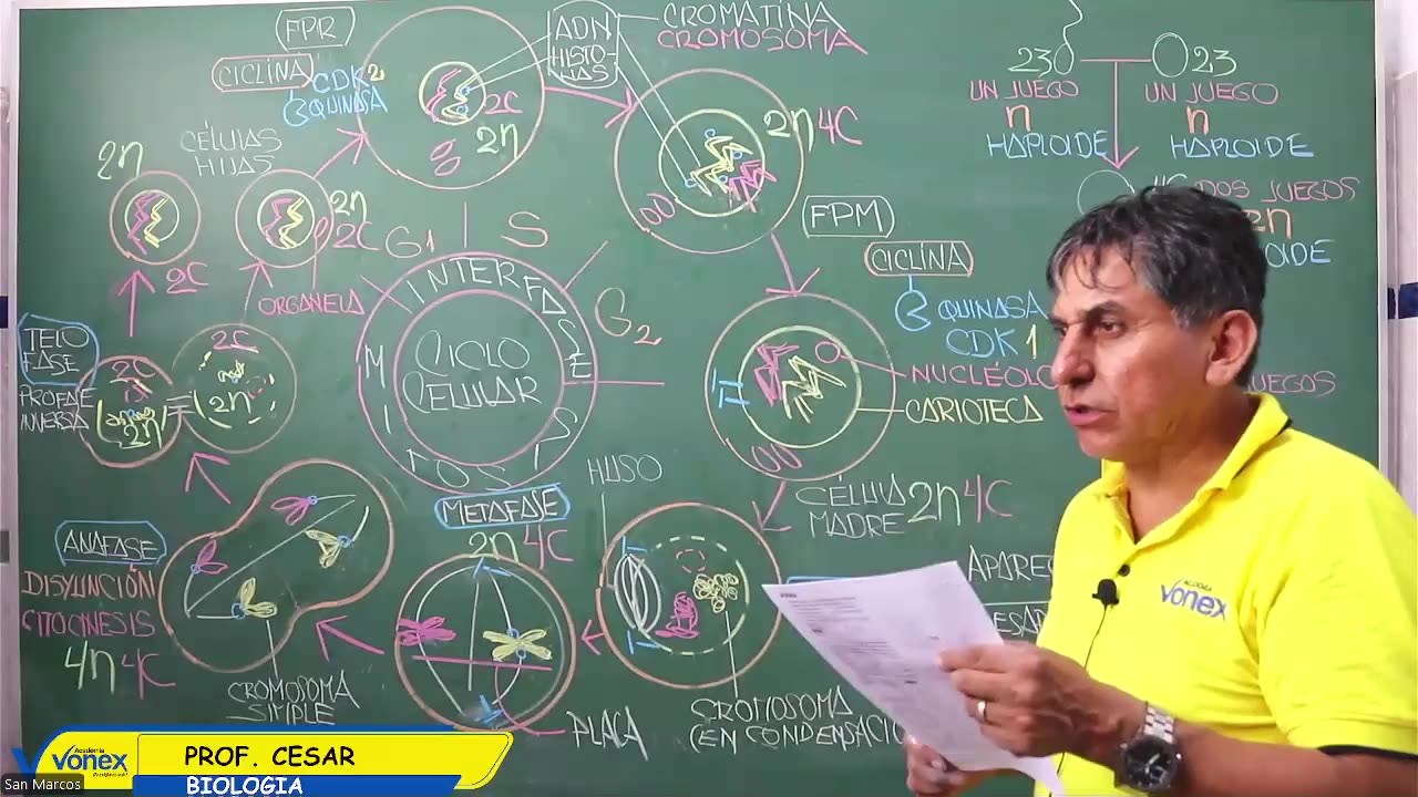 VONEX REPASO 2025 | Semana 04 | Biología S1