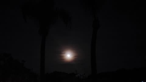 Strawberry 🍓 Moon