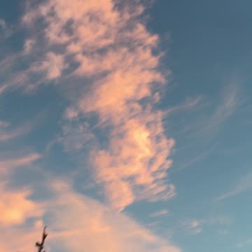 pelletized chemtrails