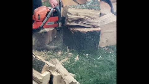 Husqvarna 570 thoughts and test cut