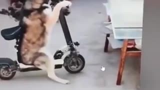 😂 You Won't Believe This Catch! | FunFM